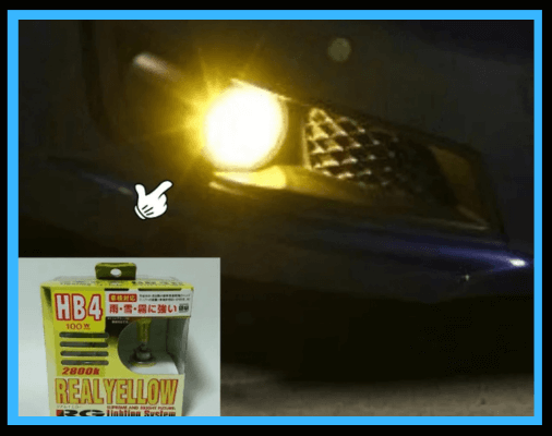 フォグランプ（ハロゲンHB4/H8/H11）のおすすめ4選”雪道や悪天候で視認